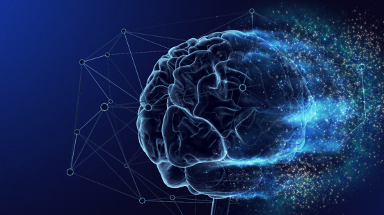 cerveau et connexion illustrant la neuroscience