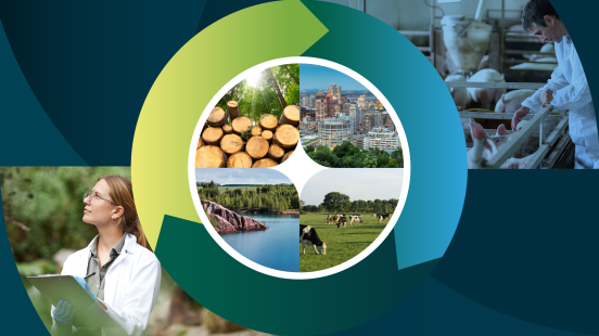 Image de bois, lac, champ avec vaches et ville illustrant l'économie circulaire