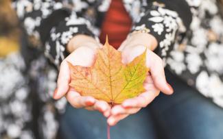 Feuilles d'automne orange dans les mains d'une fille