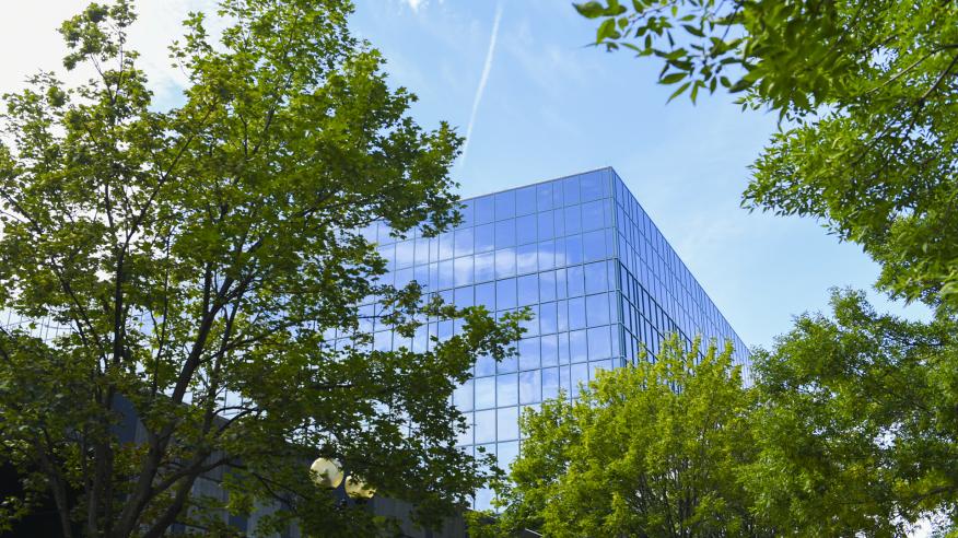 vue du haut du campus de Montréal derrière des arbres en feuilles